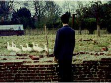 Histoire de mon oncle racontée par mon père