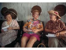 Beauty Parlor Census