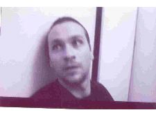 Panic Room: Pos na parete to em