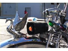 Puerto Rican Schwinn Club