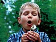 Puhalluskukkapoika ja taivaankorjaaja