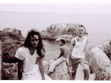 An Island for Monkeys