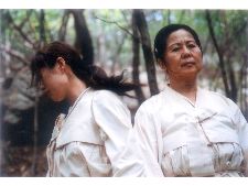 To the Spring Mountain