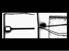 Structural Filmwaste: Dissolution 1