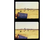 Traveller's Tales