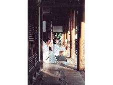 Spring and the Delight