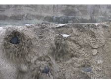 Something In the Water