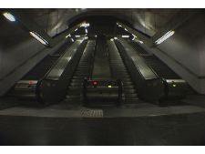 Near life experience