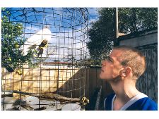 Little Noel Wants to Fly