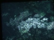 An Officer Worker Thinks of Their Love and Home