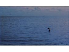 Pas de dimanche pour Didier