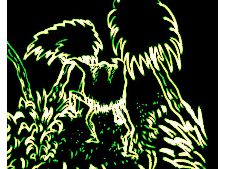 Une nuit, je me suis perdu...