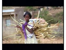 Eretz ktana Em sandal