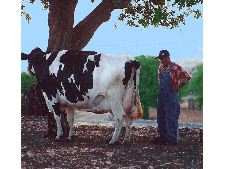 Lettere agli emigranti