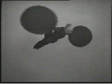 Big writers in the big city