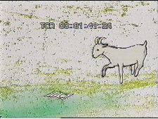 Dois diarios, e um azulejo