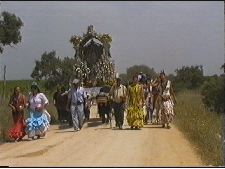 Viva la blanca paloma