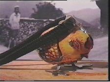 Poulet picorant