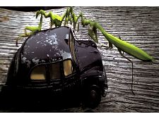 7 hommes de Mireille Poukisse