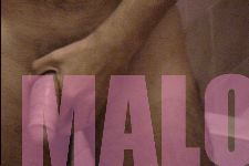 Habana Holiday (Yo Soy Malo)