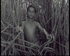 Berkeh kohan royaye sanjaghak