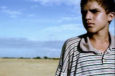 Elefantes nunca olvidan