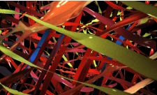 Cinepainting : Experience OÏO