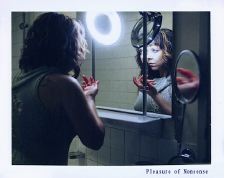 Pleasure of Nonsense