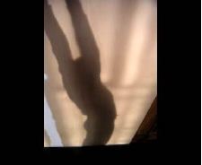 DD quel drôle d'oiseau