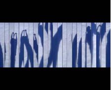 DD dans un coin de paradis