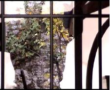 DD au pays de Marilyn