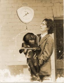 Where Is She? The Secret Footage of Dr. F. Height.