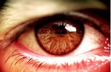 In girum imus nocte...