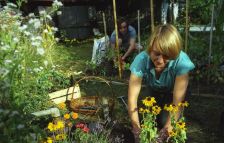 I love you I kill you