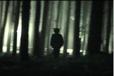 Operação Cavalo de Tróia