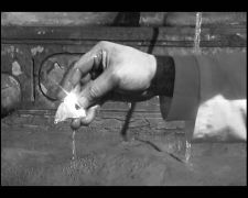 A midsummer dj's dream