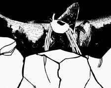 Révolution des crabes