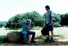 Detrás del camino