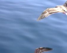 Voyage au bord des lunes