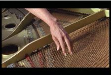 Dépoter, rempoter...