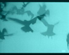 C'est de l'homme qu'il s'agit !