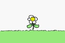 Souffle de Marguerite