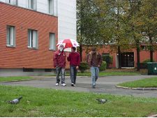 Naissance de l'orgueil