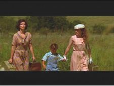 Trip in a Summer Dress