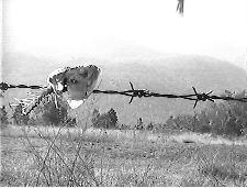 Mr. Weirdo and Anomalous Space