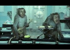 Where's Your Head At?