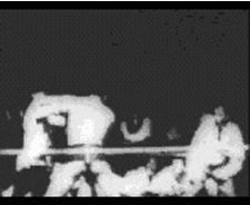 Corbett-Courtney Fight