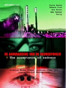 Aanvaarding van de bedroefdheid