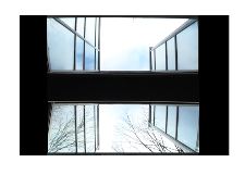 Glasshouse
