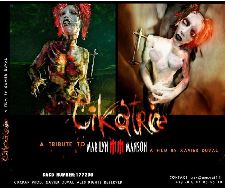 Cikatrice